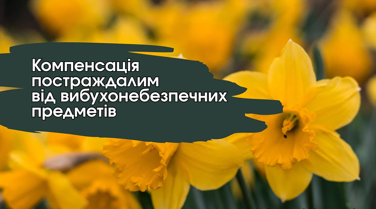 c6636bc7-0471-44cd-b484-ef854b47f53d.png c6636bc7-0471-44cd-b484-ef854b47f53d.png