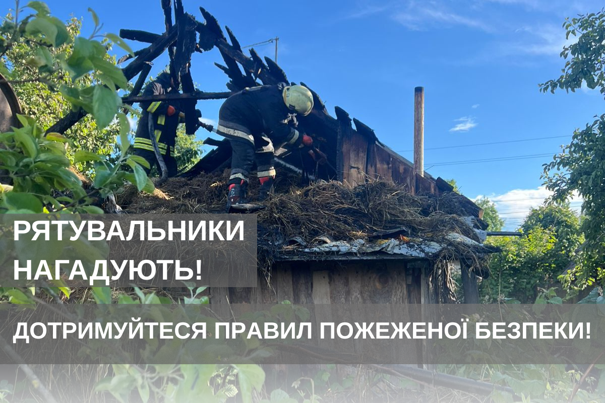 eb246d72-edb5-4ef9-a230-66ca18d77c4f.png