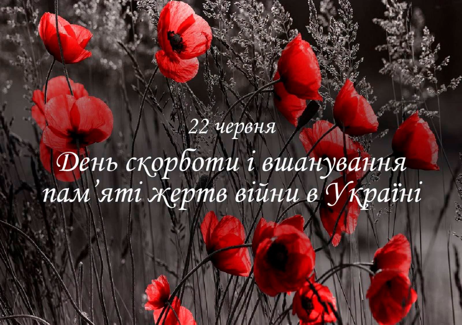 37380986-e2a4-4d9f-8e7f-4edc1d7f9907.jfif