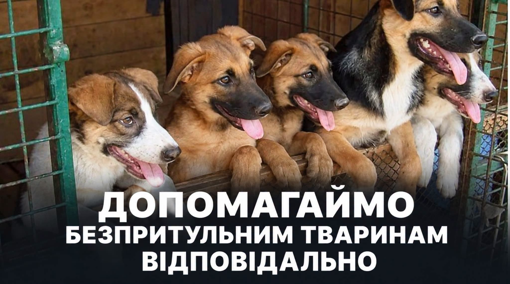 ddd8bfde-6b84-473b-9bc8-9ff15917f90a.jfif