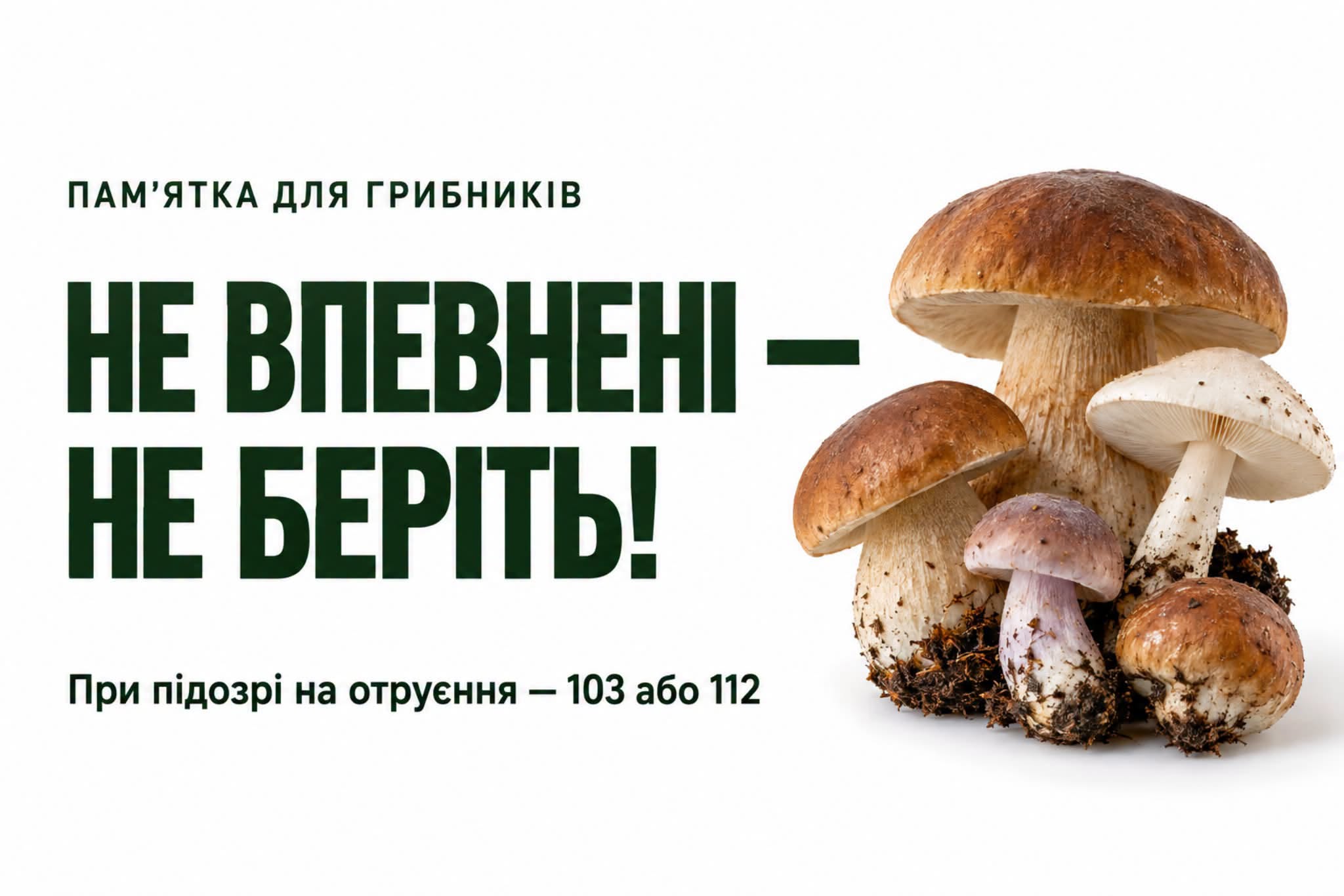 ee5121fc-1cb9-4bf2-ad6a-add8a04b3f06.jfif