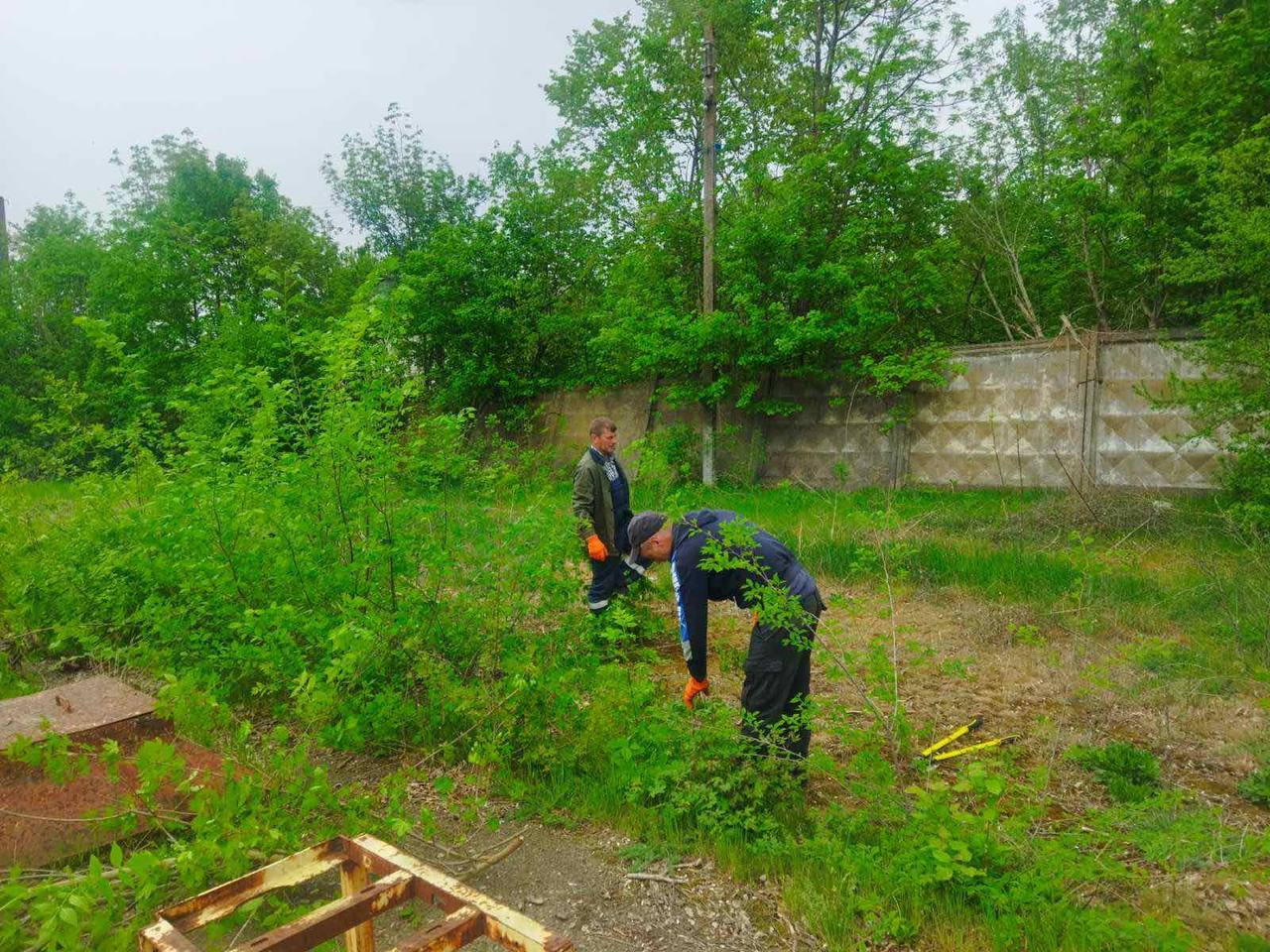 photo_2024-04-17_16-38-30.jpg