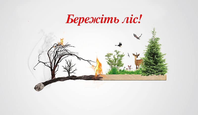 3e17a937-2643-4ae4-acc1-0f6091606f14.jpg 3e17a937-2643-4ae4-acc1-0f6091606f14.jpg