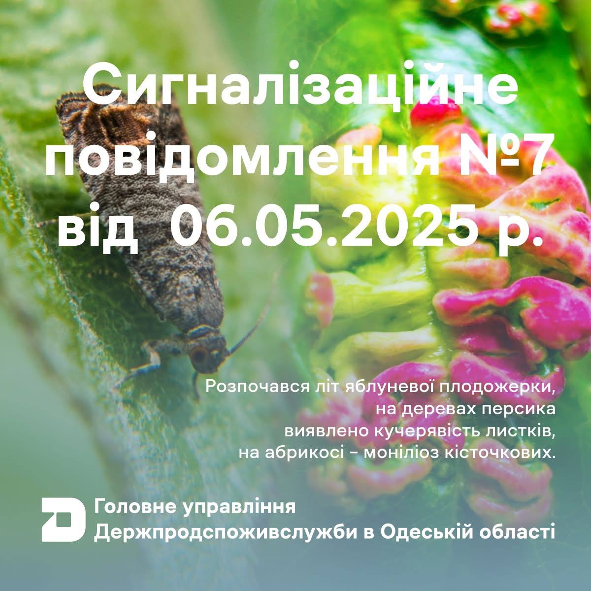 0c32ce95-4468-48d7-9877-5fb62a54ad12.jpg 0c32ce95-4468-48d7-9877-5fb62a54ad12.jpg