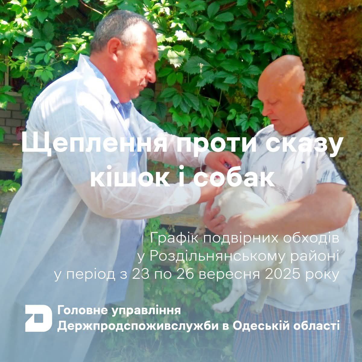 29f9e4eb-5b7b-451e-8ea7-0b99b3fcfa03.jpg