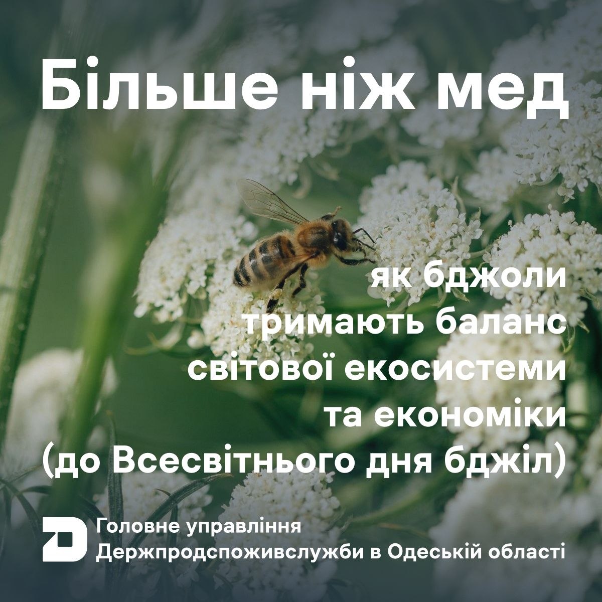 bfa69f0e-ff9d-4e38-8c28-92bb052b7b19.jpg
