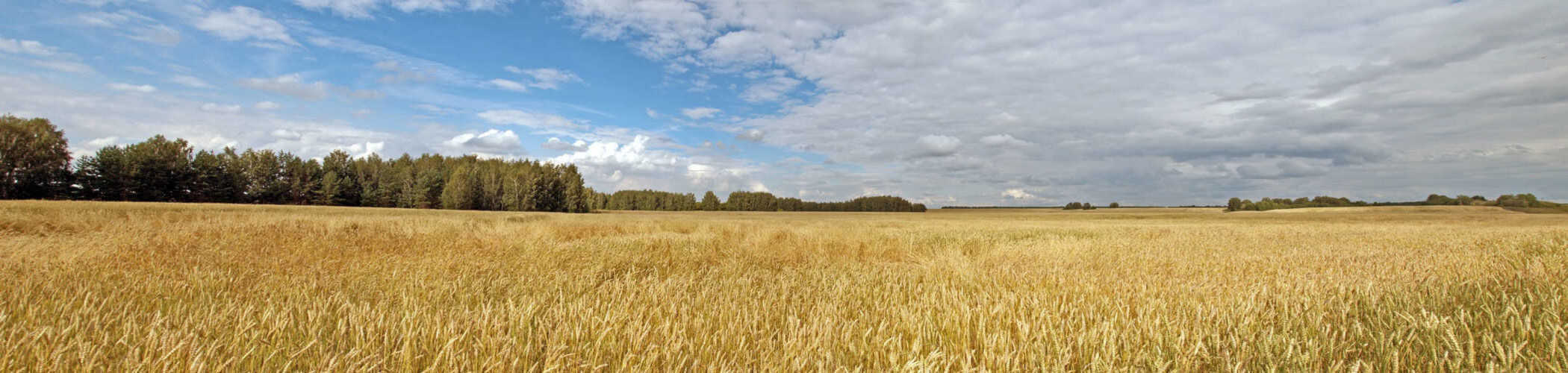Хорольська територіальна громада