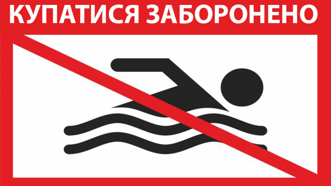 0e82b75b-2136-4c8e-9547-4bdb19a46610.jpg 0e82b75b-2136-4c8e-9547-4bdb19a46610.jpg