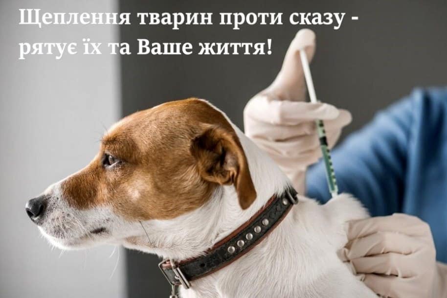 03bb00ad-81ed-485b-aaaa-5559df1ca5bd.jpg 03bb00ad-81ed-485b-aaaa-5559df1ca5bd.jpg