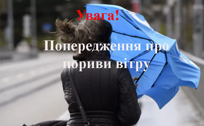 d49605d0-43fb-4714-a4fc-d0c53a75c115.jpg d49605d0-43fb-4714-a4fc-d0c53a75c115.jpg