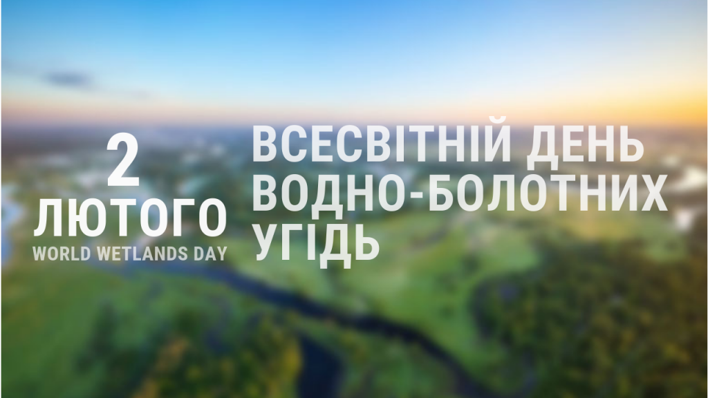 fbd2a24b-fe3c-4958-9351-0a7fba86246a.png fbd2a24b-fe3c-4958-9351-0a7fba86246a.png