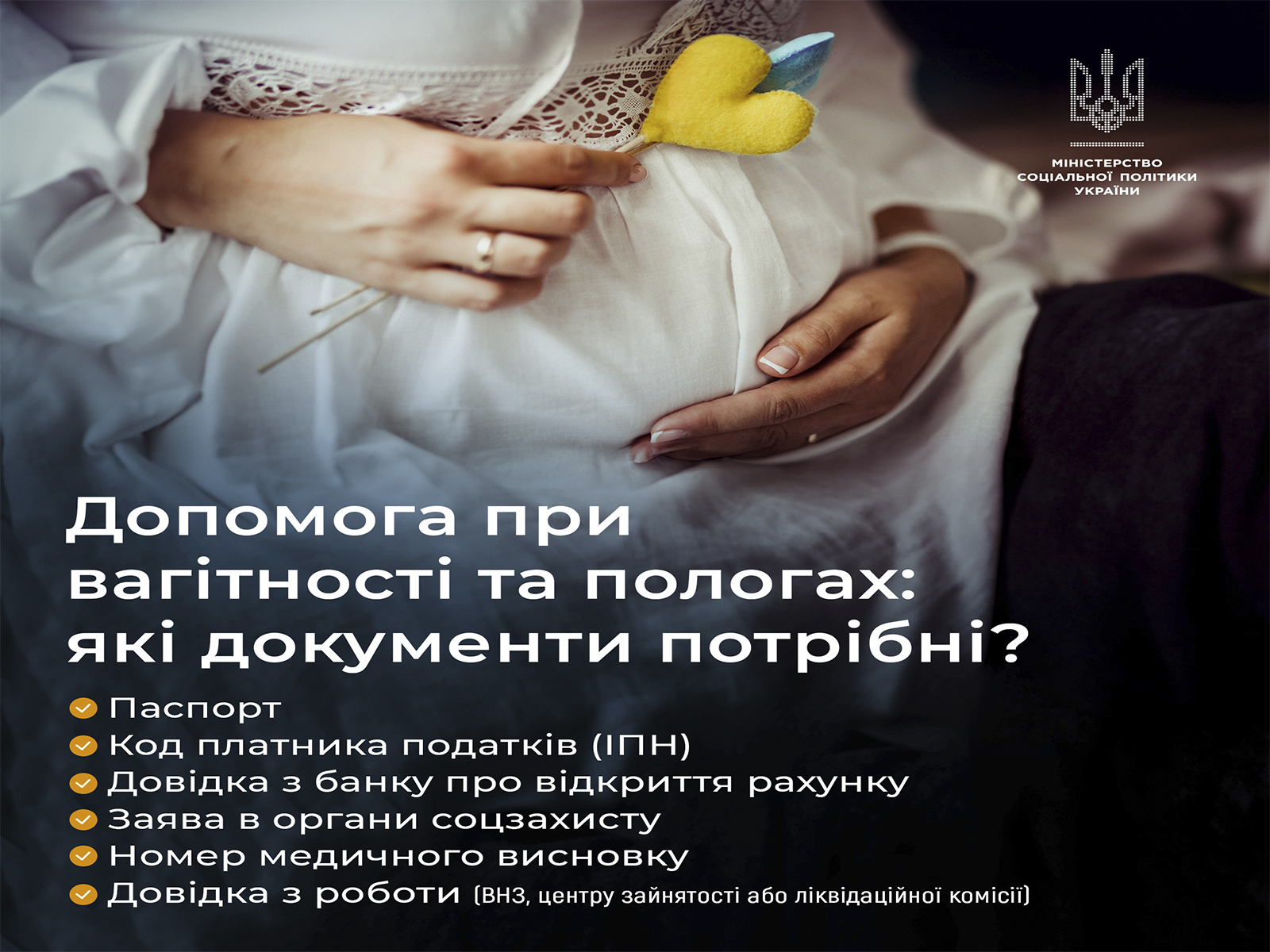 01dbb26d-11a2-40ba-b8c8-b6144bf2b834.jpg