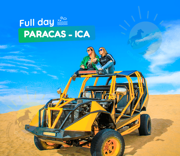 Full day Paracas - Ica