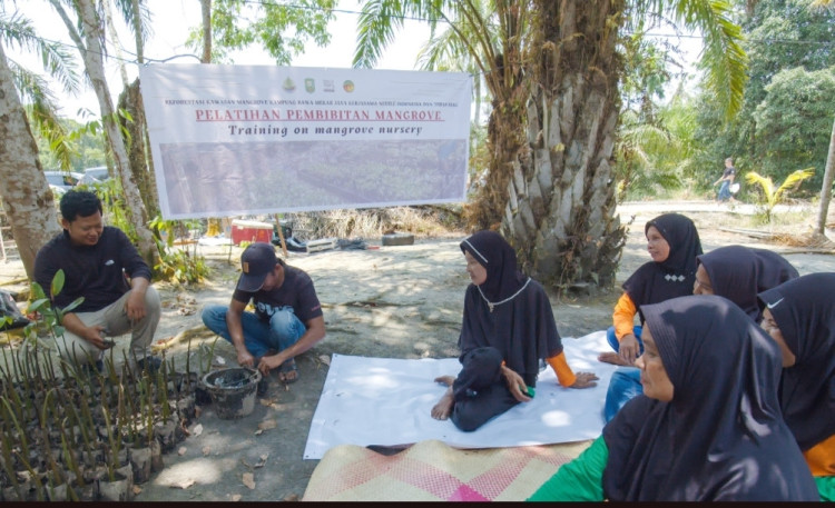 Nestlé Indonesia Gandeng BRGM Dalam Pelaksanaan Rehabilitasi Mangrove di Siak Riau