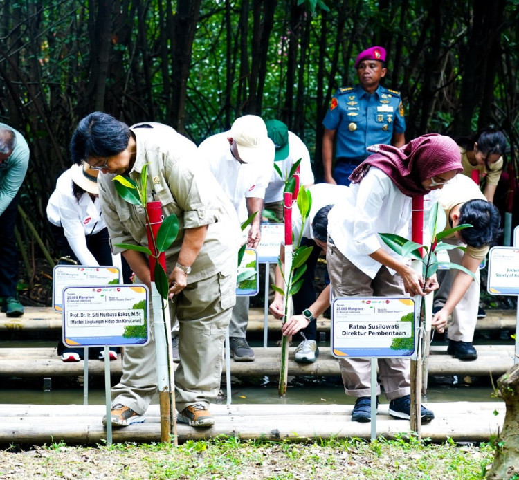 Tanam Mangrove Serentak di 25 lokasi Se-Indonesia