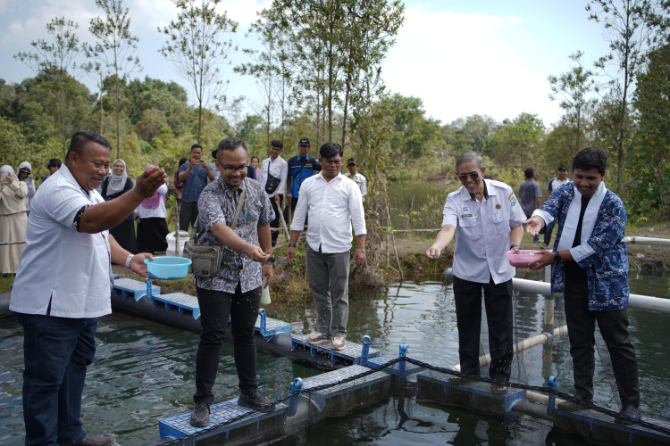 Lewat Berikanesia Lestari: GoTo Impact Foundation Ubah Limbah Ikan Jadi Sumber Pendapatan Warga Belitung