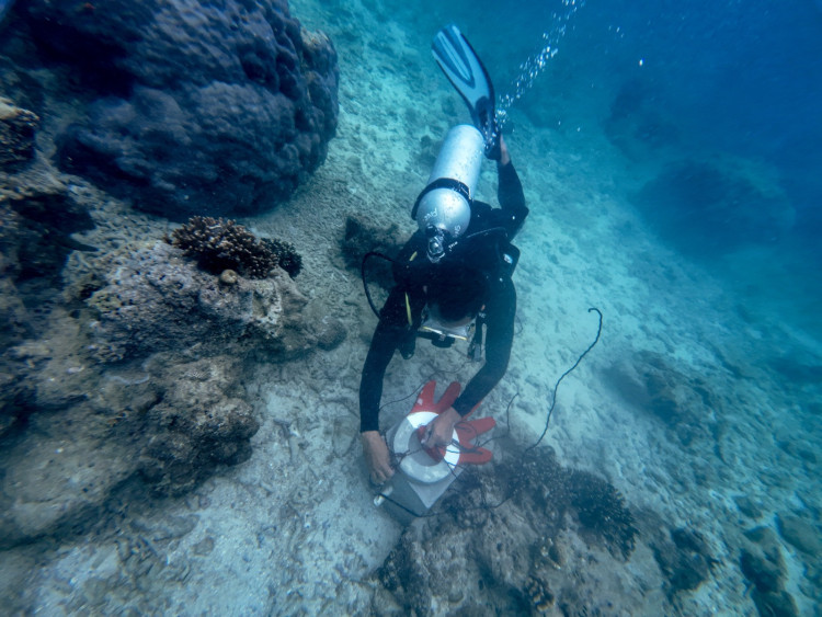 Program Konservasi Lingkungan yang dilakukan oleh Telkom dalam rangka memperingati Hari Bumi yang jatuh pada tanggal 22 April yang dilakukan serentak di empat titik lokasi di Indonesia.