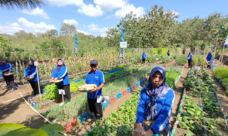 Upaya BCA Berdayakan Ekonomi Lokal dan Lingkungan Lestari di Yogyakarta