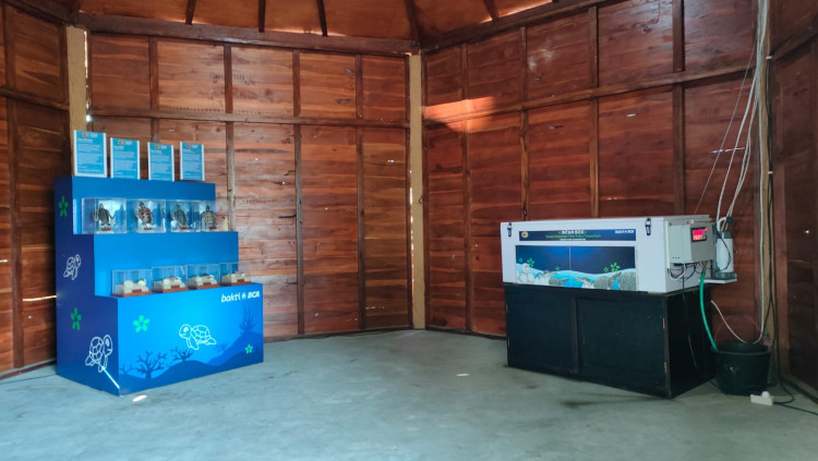 Inkubasi buatan untuk telur penyu. (foto: Jeihan Kahfi/SWA)