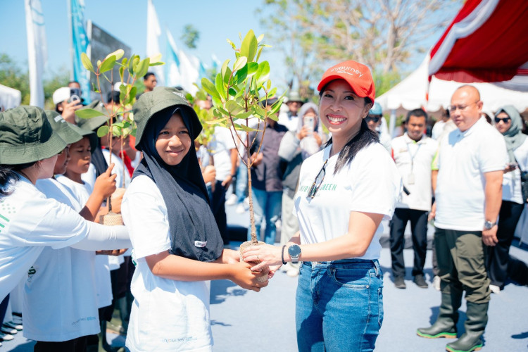 InJourney dan ITDC Tanam Mangrove, Wujudkan Mandalika sebagai Destinasi Ekowisata Kelas Dunia