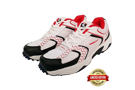 best cricket shoes under 1000