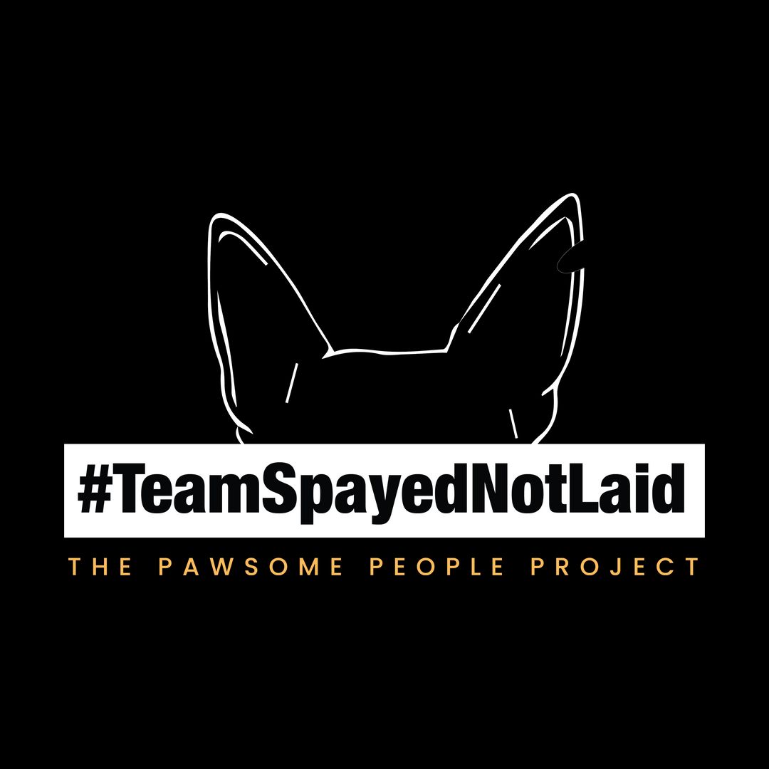 Ce6ce9b6 Teamspayednotlaid Black