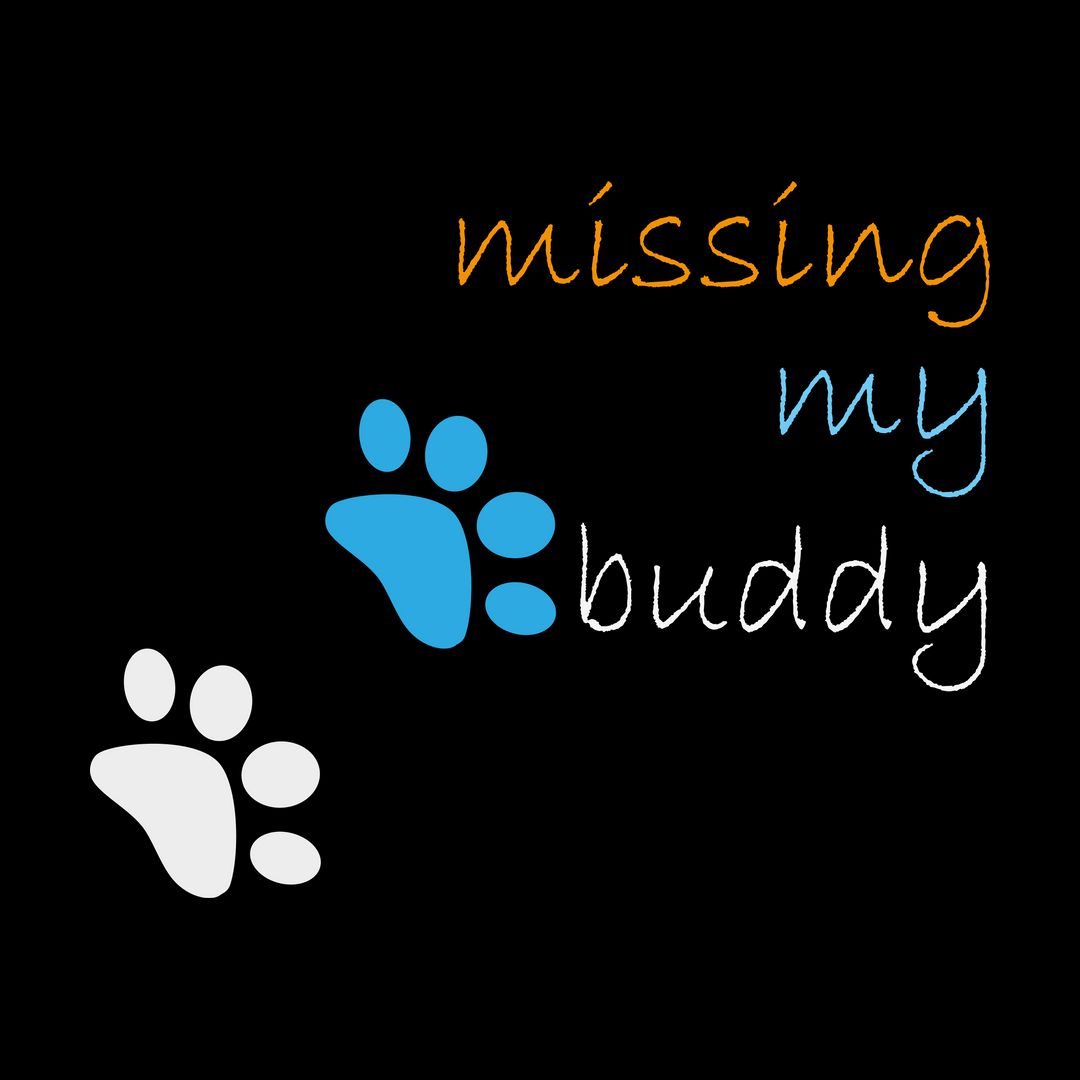 0ecc3997 Missing Buddy Black