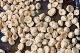 Foundation activity photo