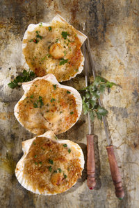 Scallops au gratin