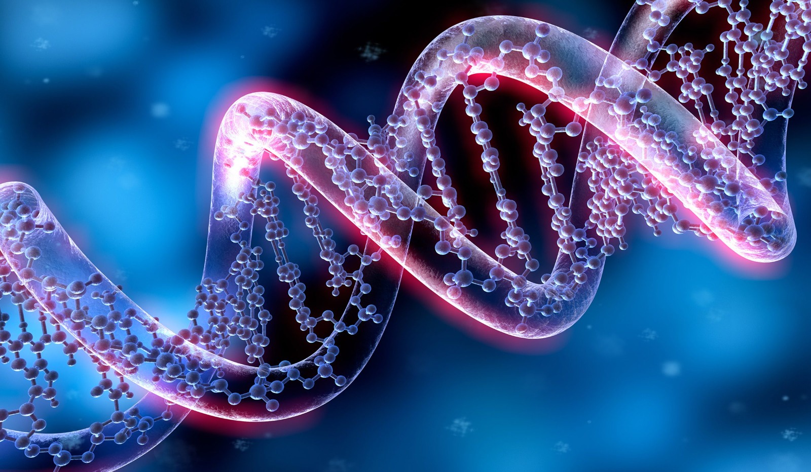 Genetic Algorithms: From Theory to Application