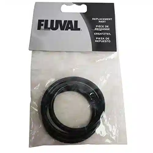 Fluval Motor Head Seal Ring for 104/204/105/205