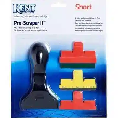 Kent Pro Scraper 2