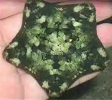 Pillow Cushion Starfish