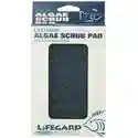 Lifegard Aquatics Algae Scrub Pad - For Glass