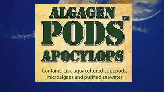 AlgaGen ReefPODS Apocyclops