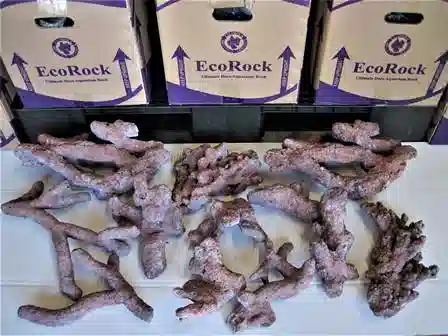 EcoRock Hand Made Aquarium Rock Premium Branch - Free Shipping