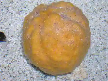 Orange Ball Sponge