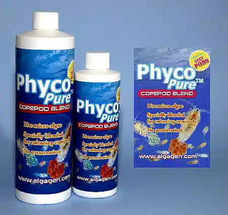 AlgaGen PhycoPure CopePod Blend Phytoplankton 8oz