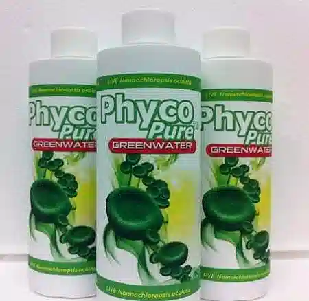 AlgaGen PhycoPure Greenwater 8oz