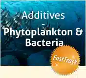 Additives - Phytoplankton & Bacteria