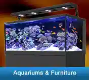 Aquariums