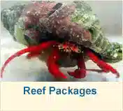 Reef Packages