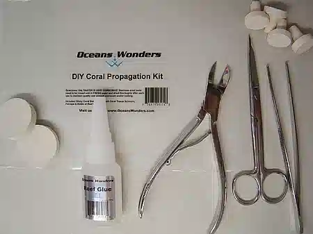 DIY Coral Propagation Kit