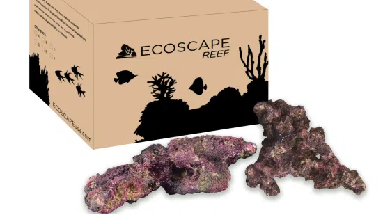 Ecoscape Reef Mix B