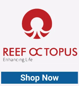 https://storage.googleapis.com/swf_promo_images/shop-now-reef-octopus.webp