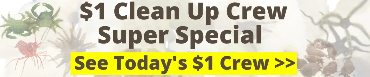 Oceans Garden Aquaculture