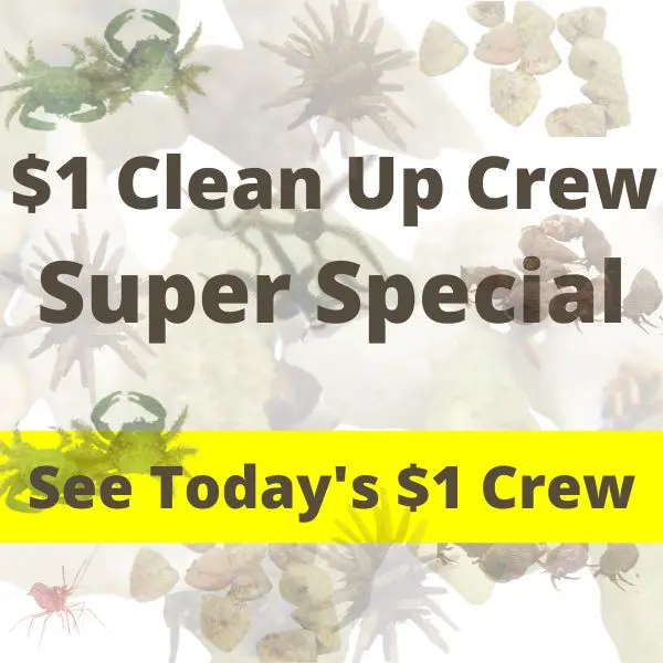 Oceans Garden Aquaculture