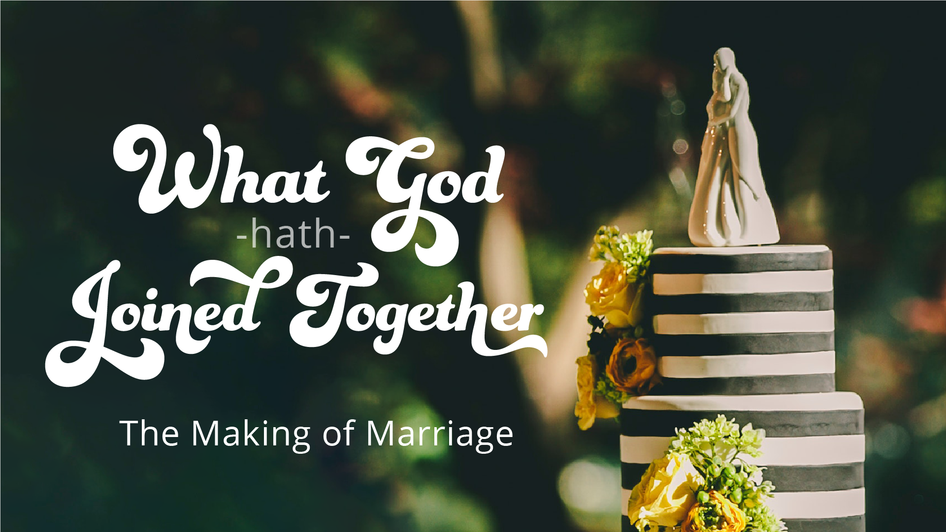 Introduction to 'What God Has Joined Together'