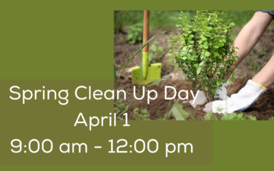 Spring Clean up Day