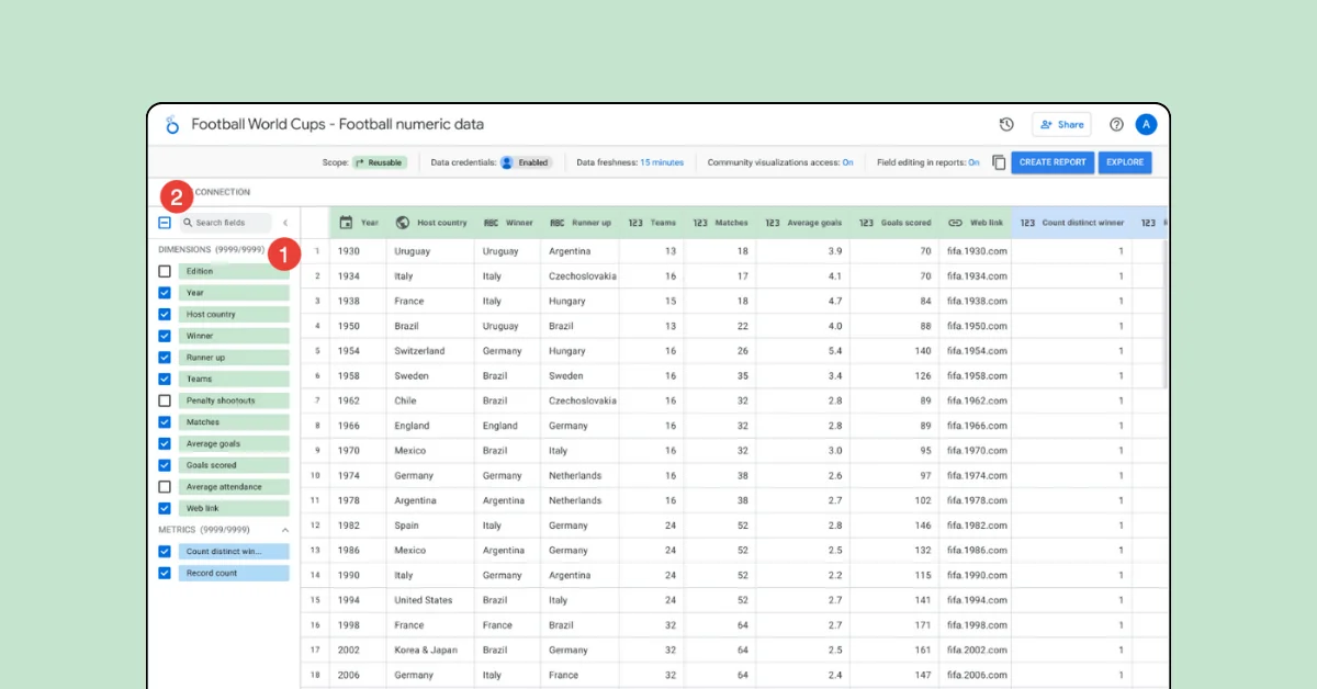 Looker Studio Unveils Data Preview and Enhanced Visualization Controls